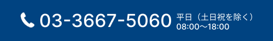 0336675060