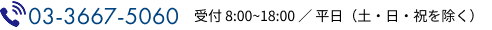 03-3667-5060